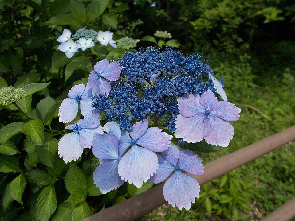 DSCN0024.jpg
