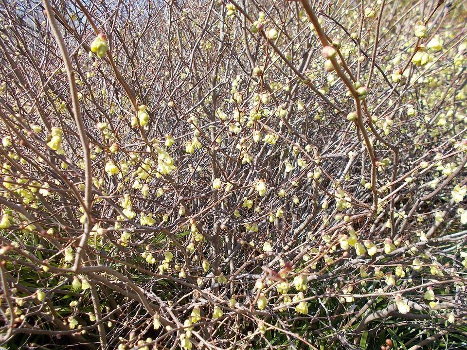 DSCN0138.jpg