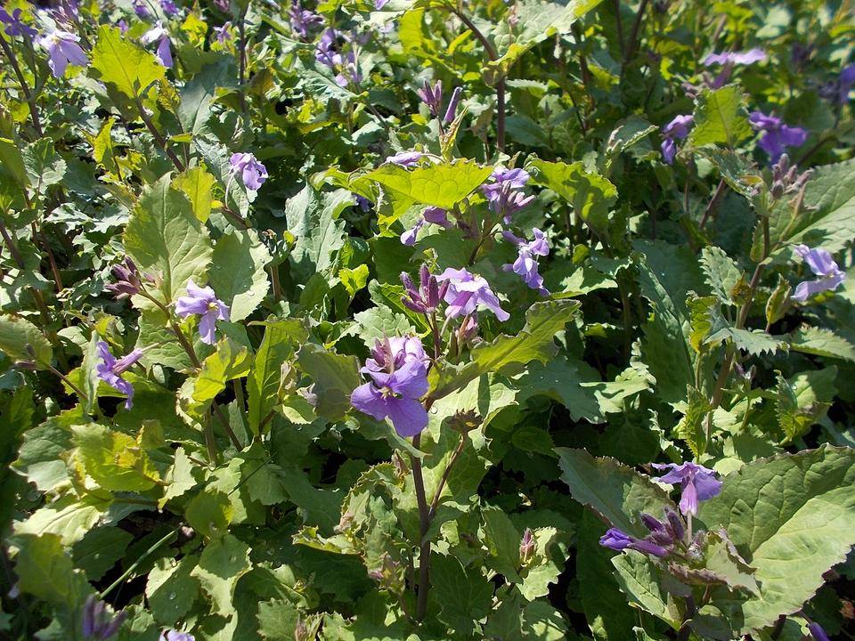 DSCN0151.jpg