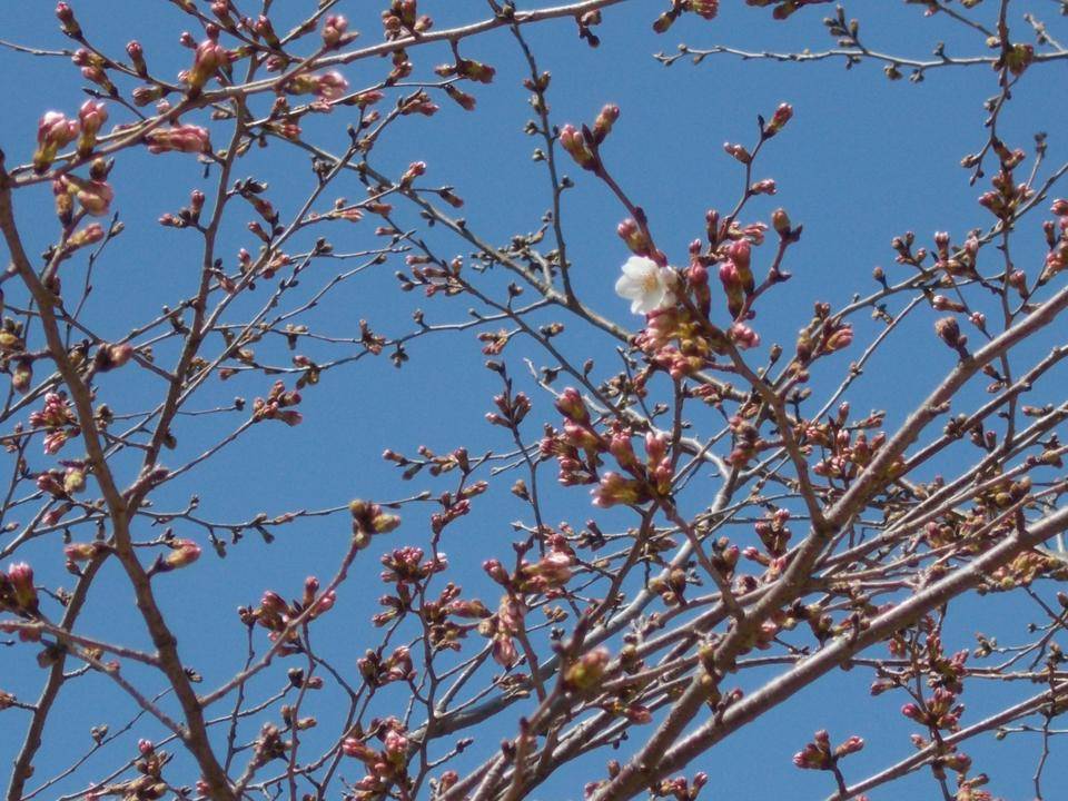DSCN0160.jpg