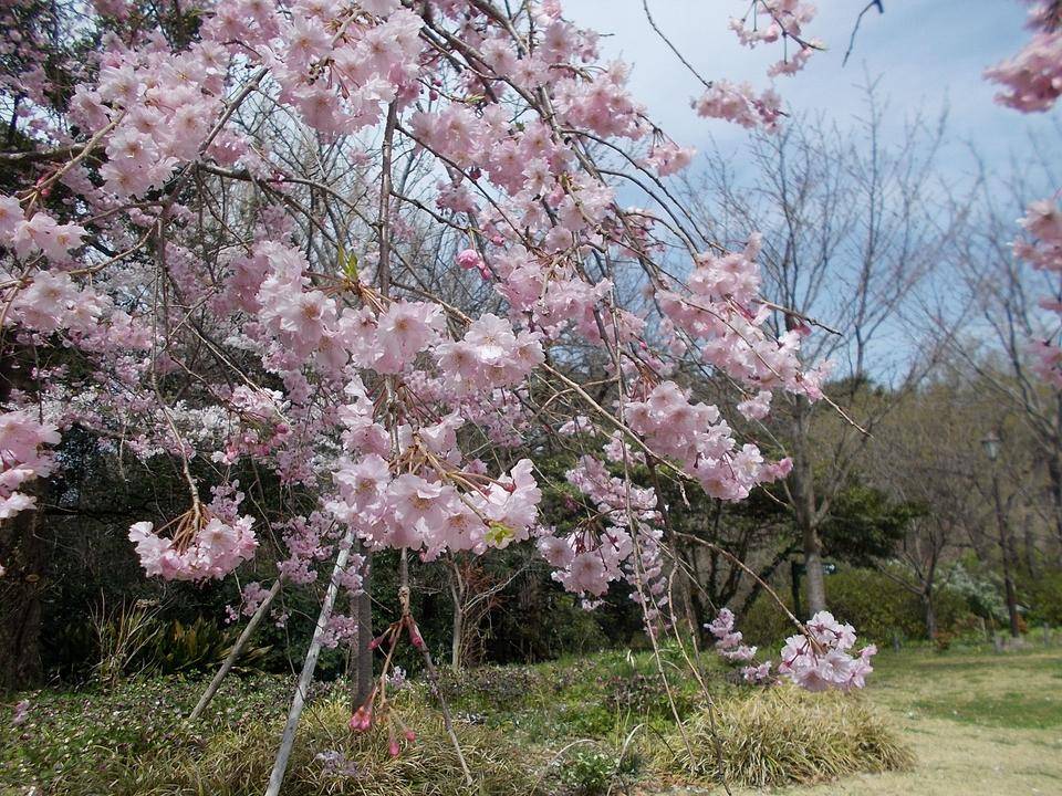 DSCN0268.jpg