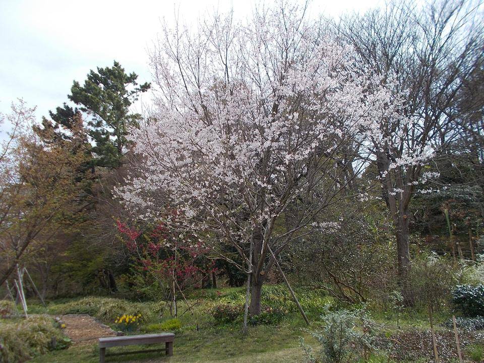DSCN0274.jpg