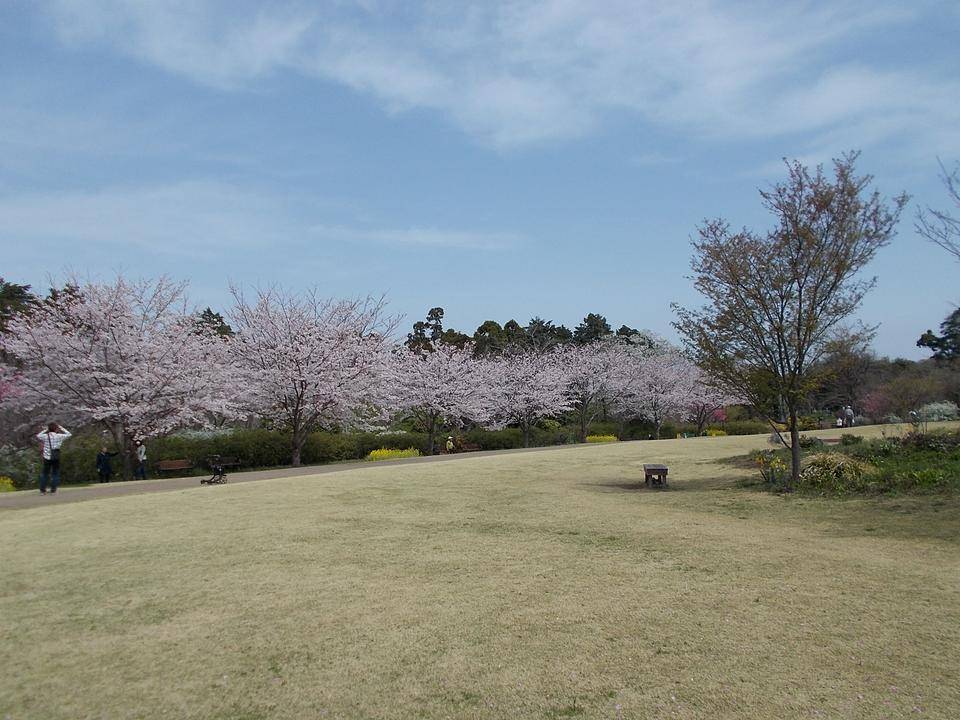 DSCN0275.jpg