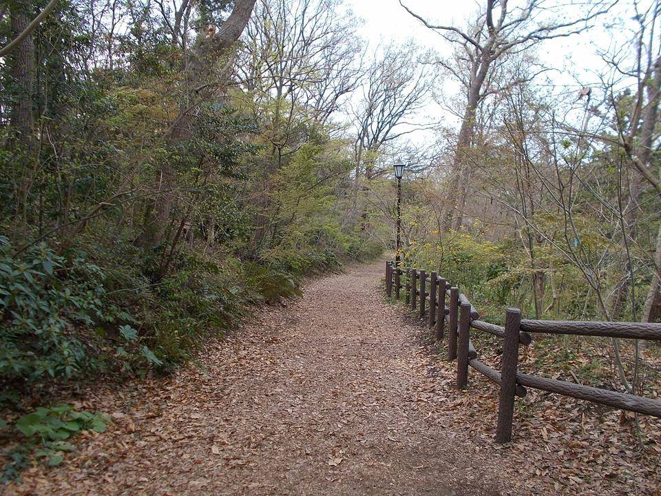 DSCN0292.jpg