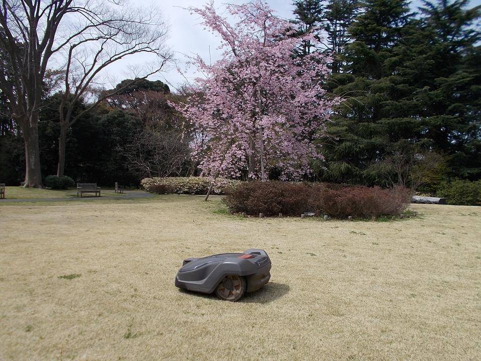 DSCN0298.jpg