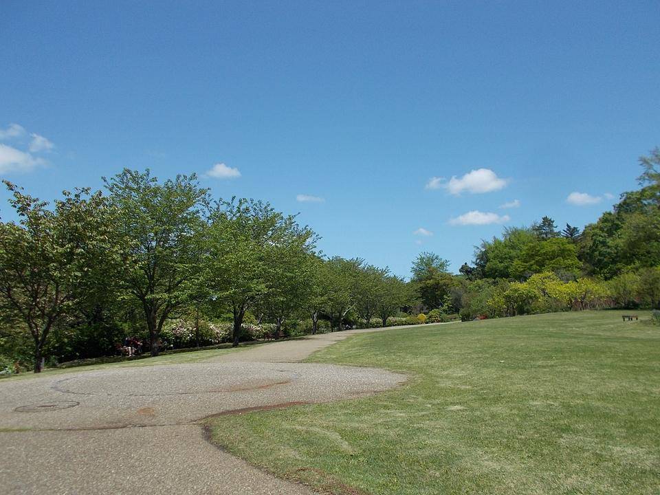 DSCN0589.jpg