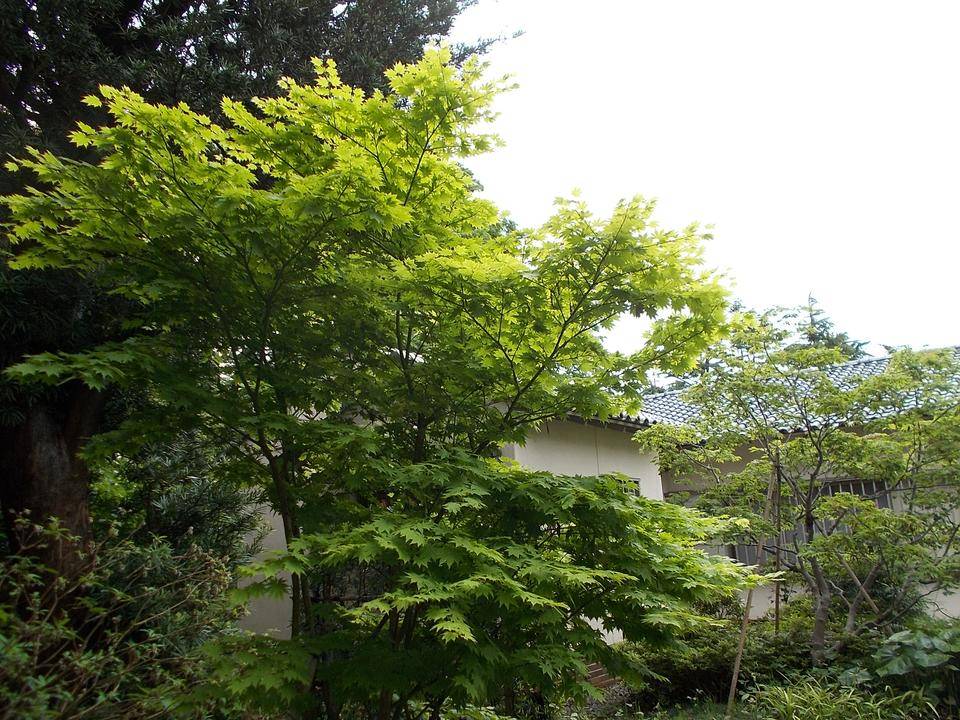 DSCN0826.jpg