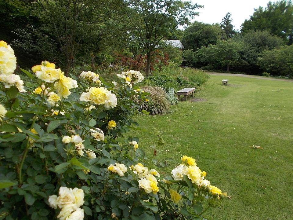 DSCN0840.jpg