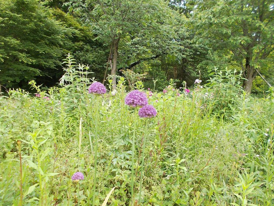 DSCN0842.jpg