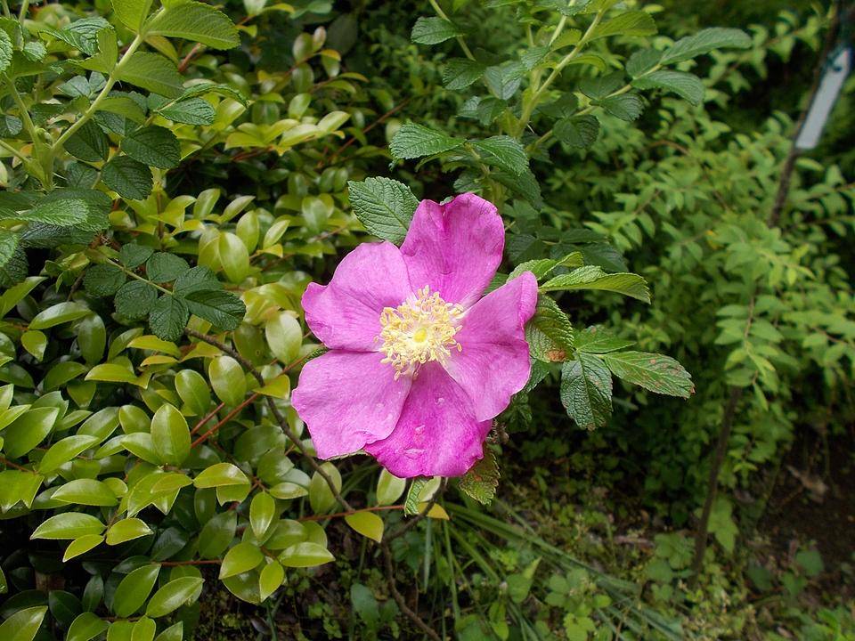 DSCN0844.jpg