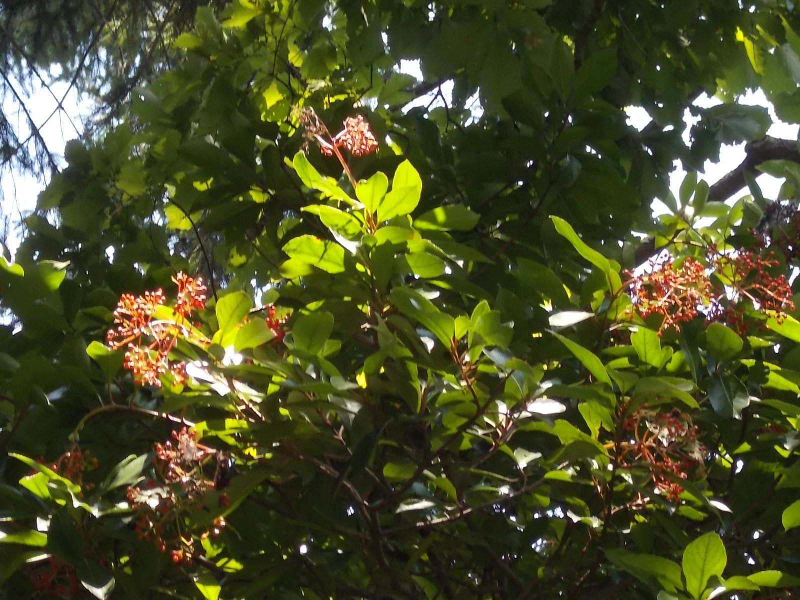 DSCN1061.jpg