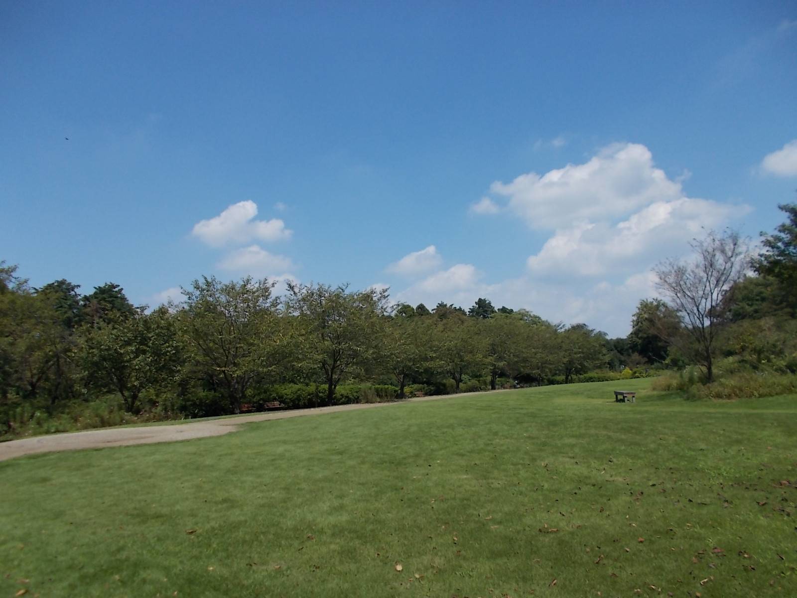 DSCN1069.jpg
