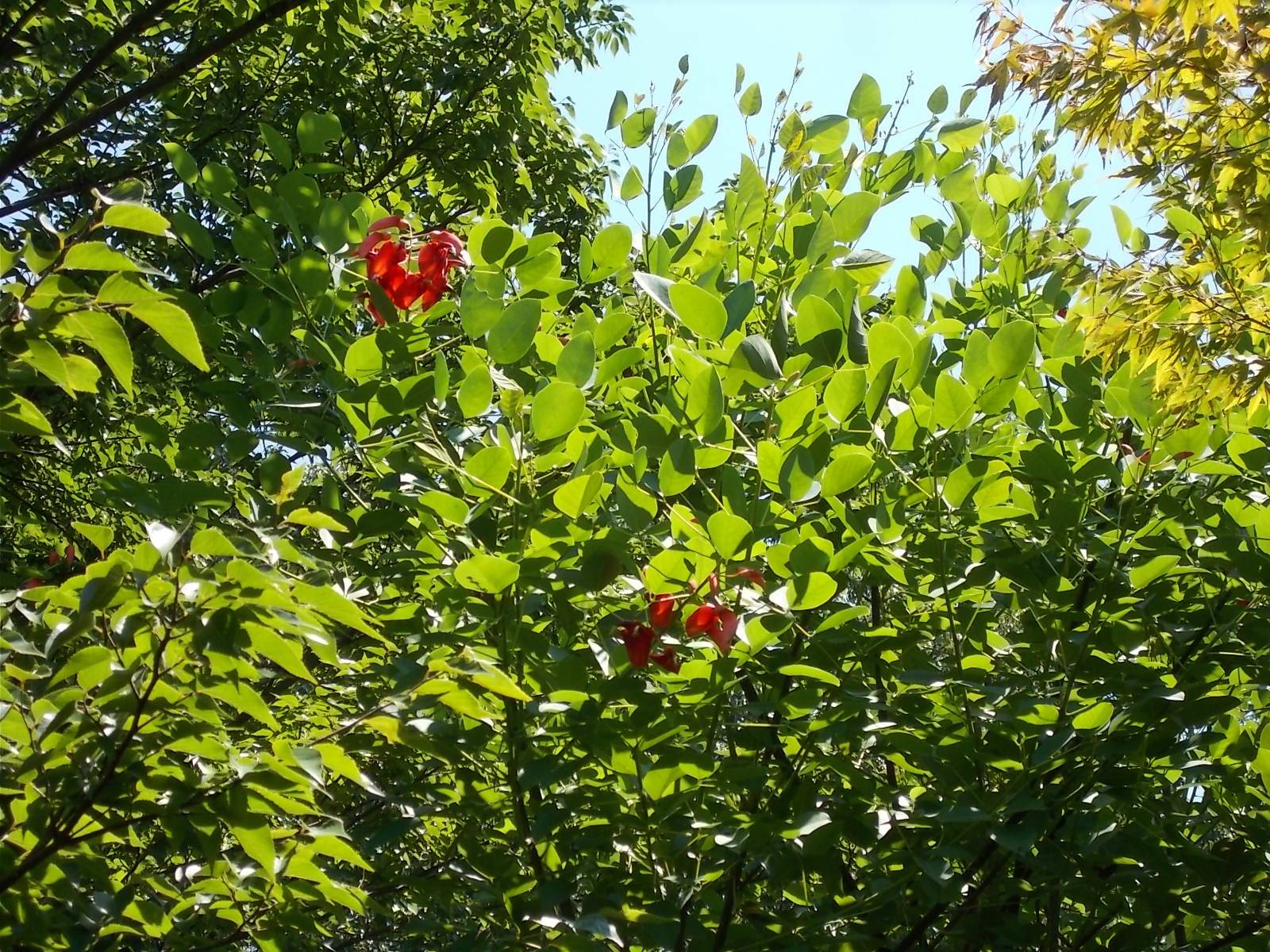 DSCN1072.jpg