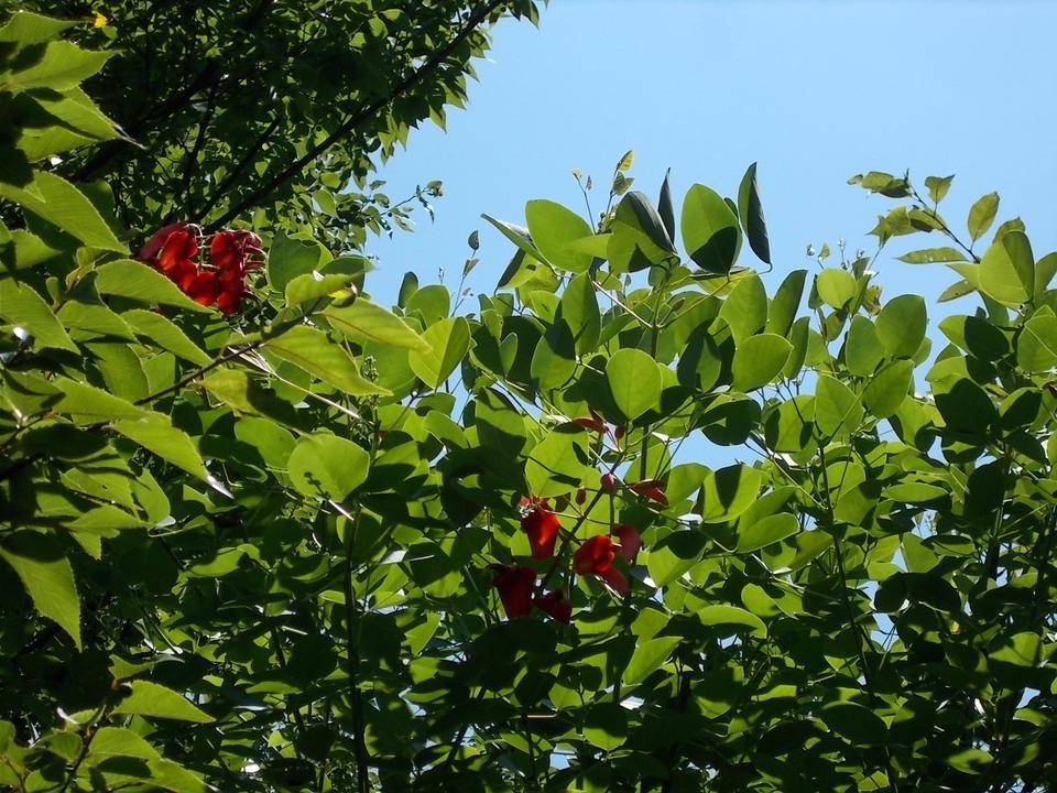 DSCN1074.jpg