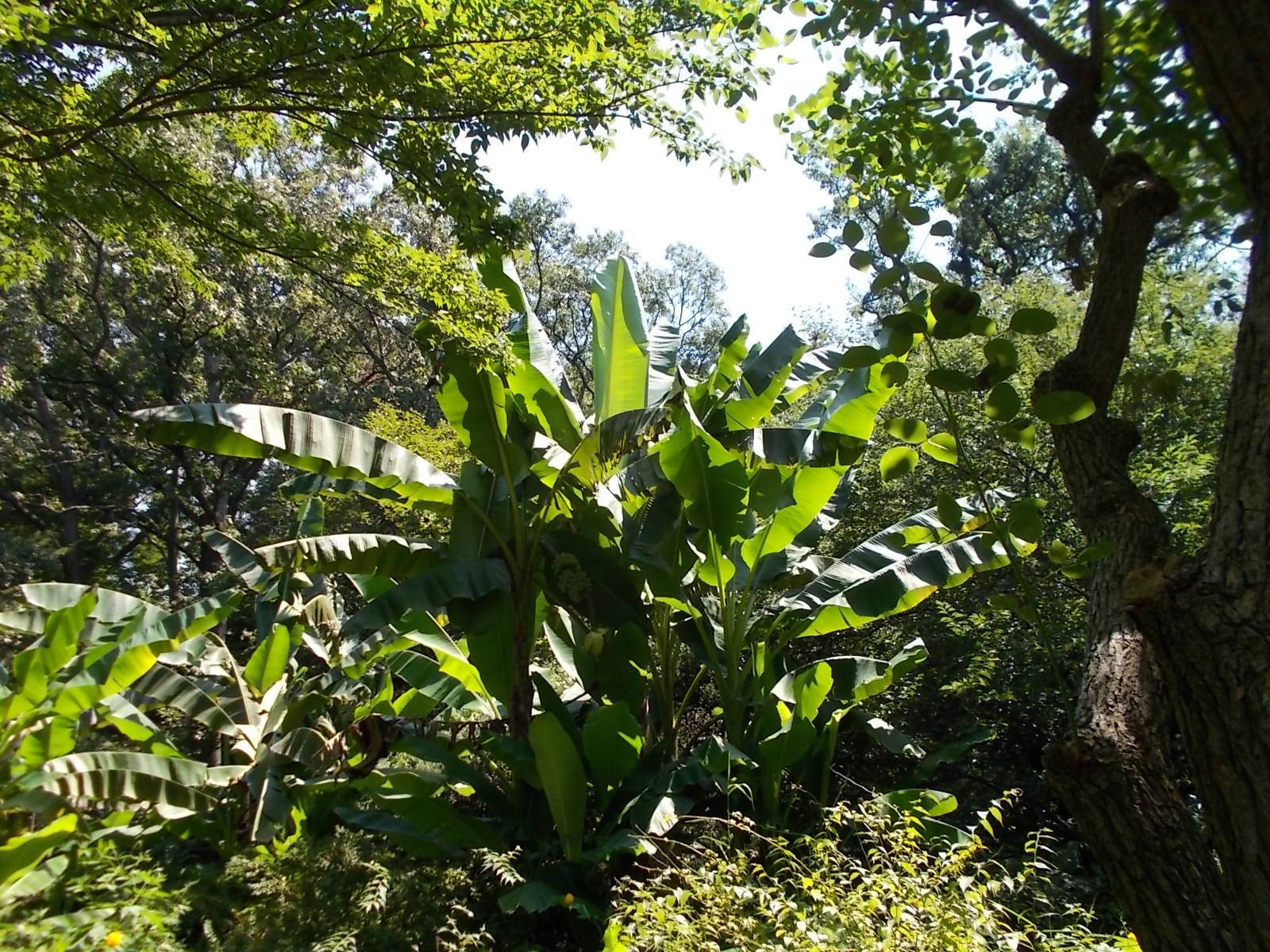 DSCN1076.jpg