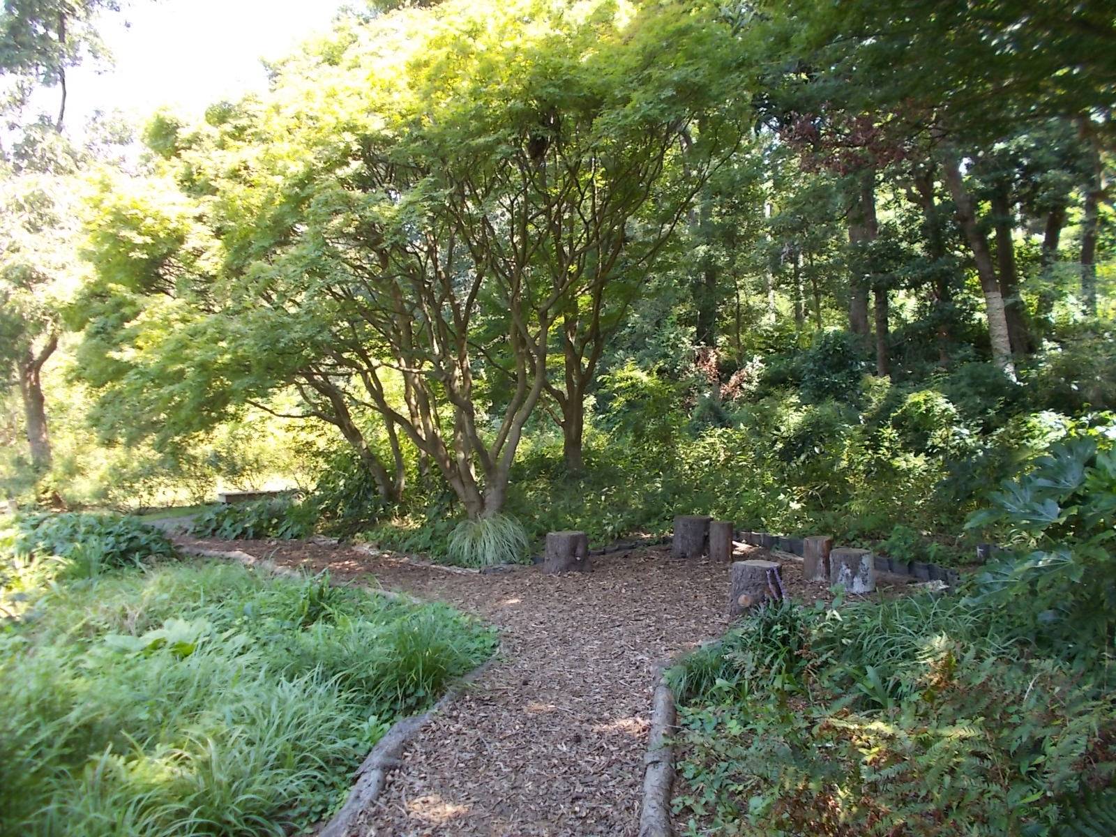 DSCN1078.jpg