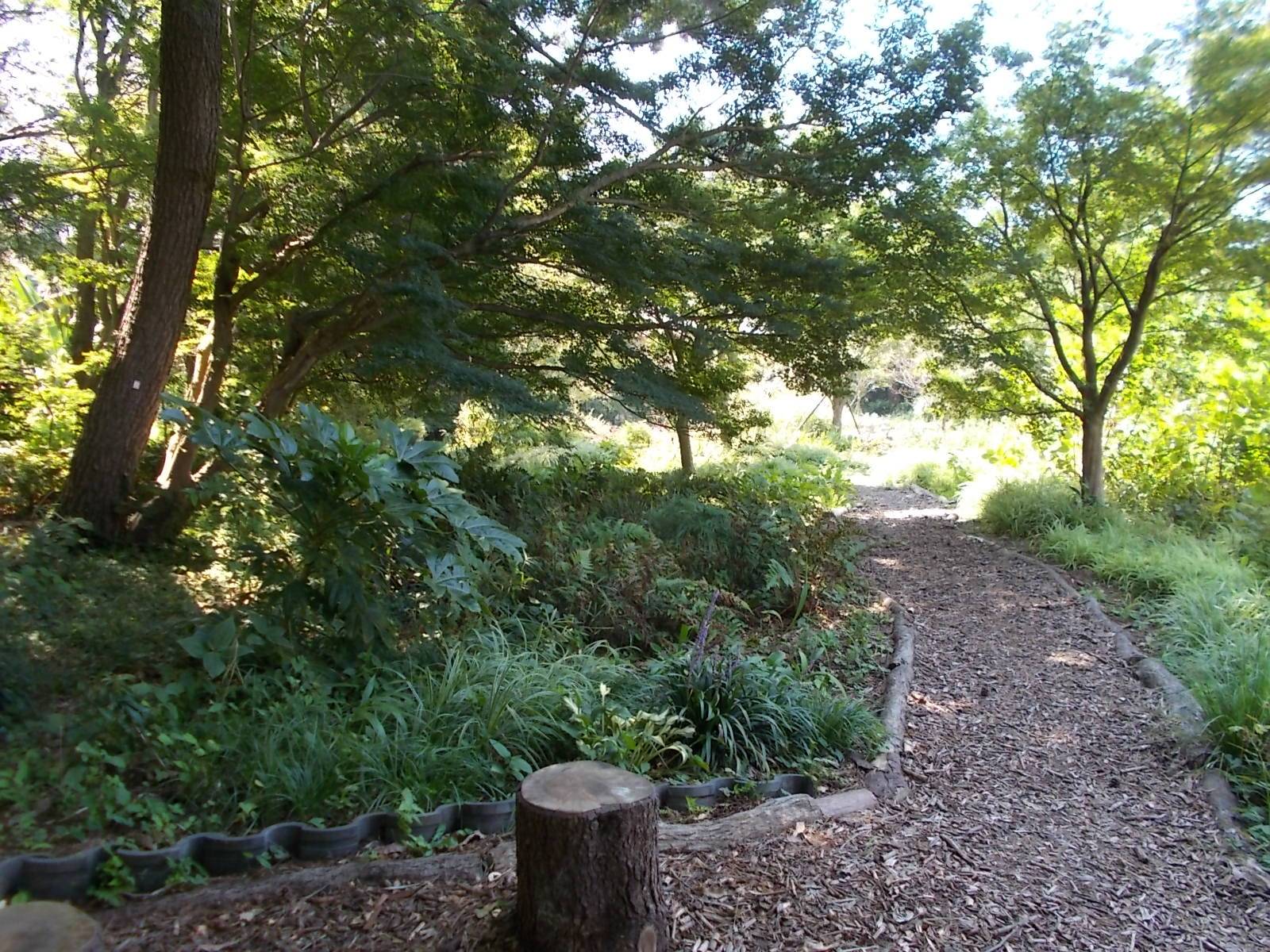 DSCN1079.jpg