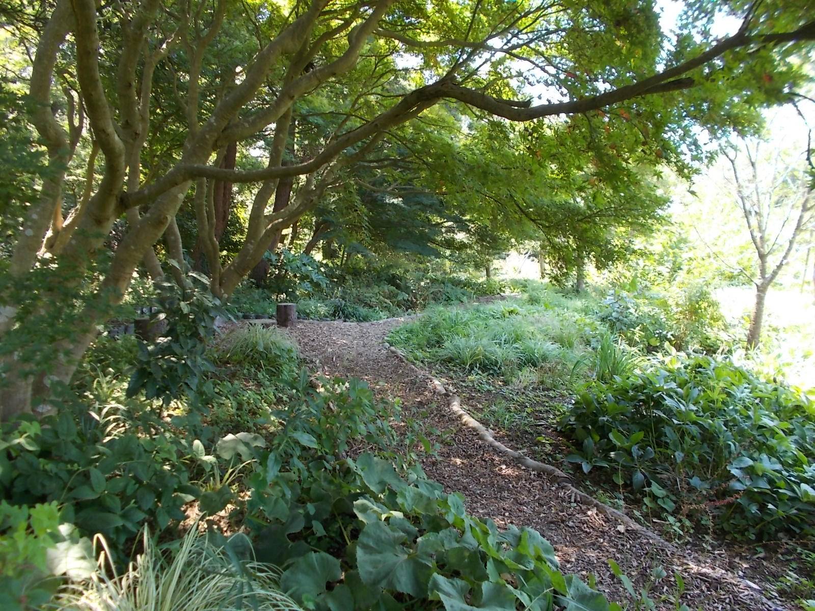 DSCN1080.jpg