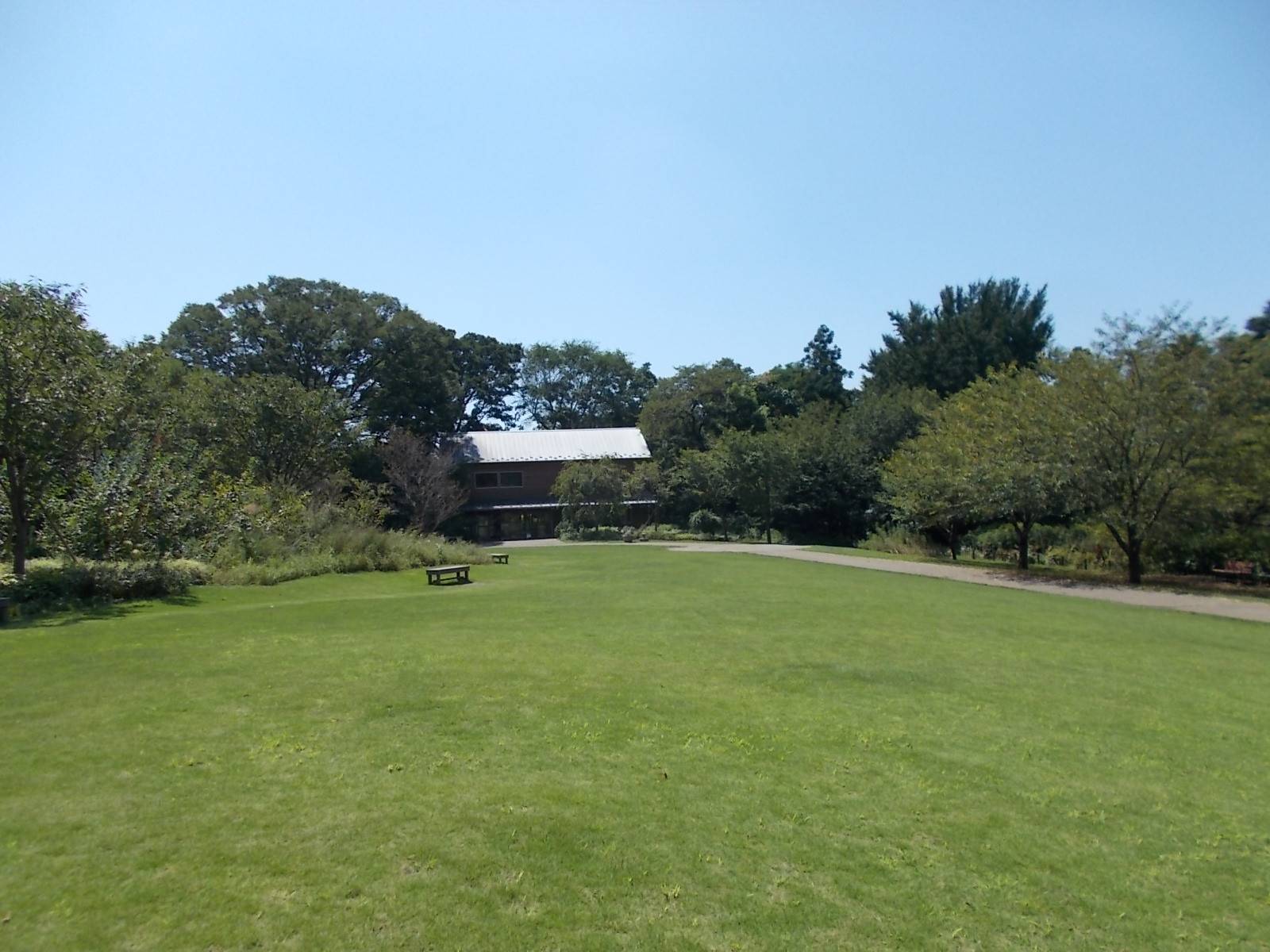DSCN1081.jpg