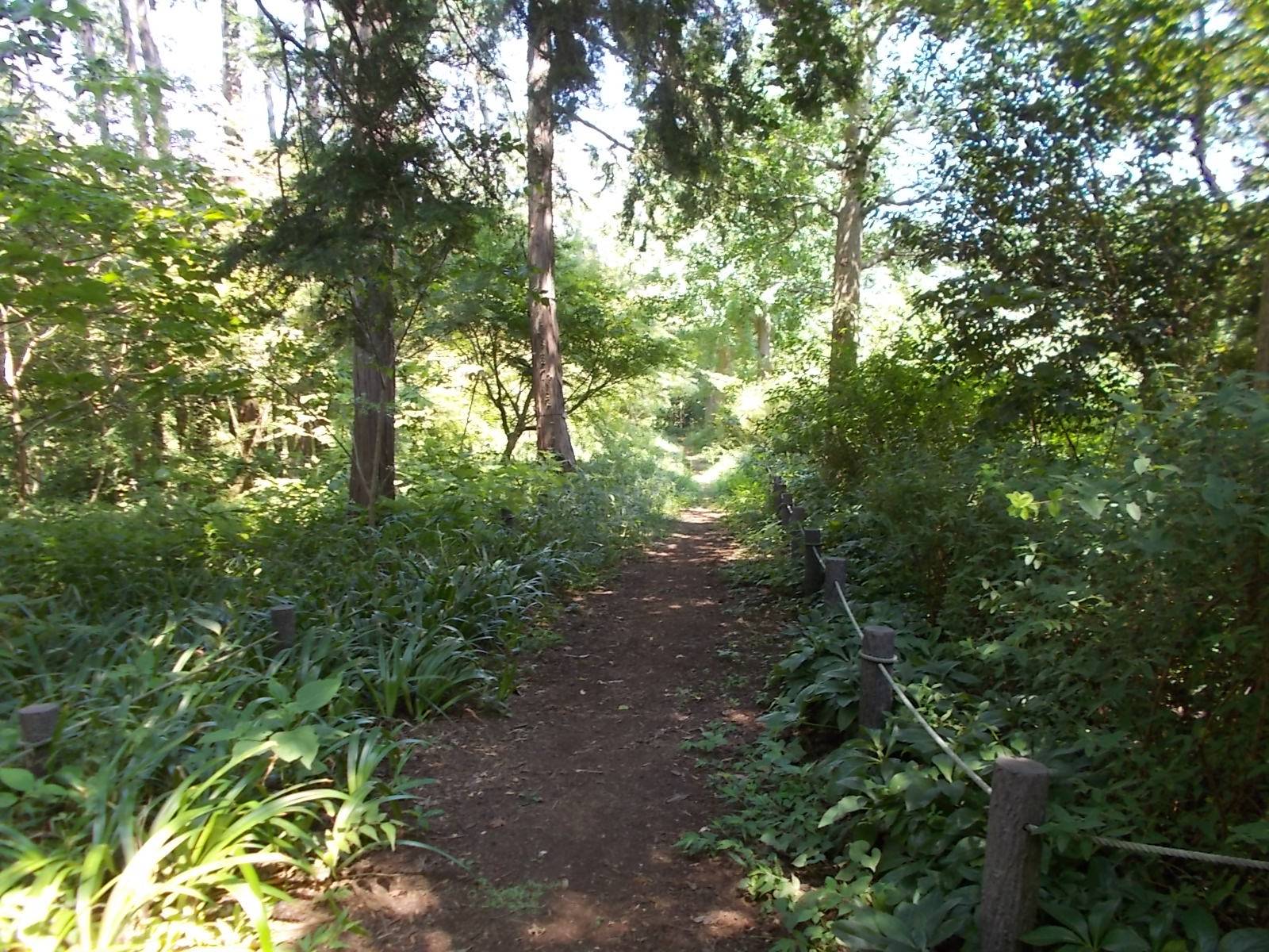 DSCN1082.jpg