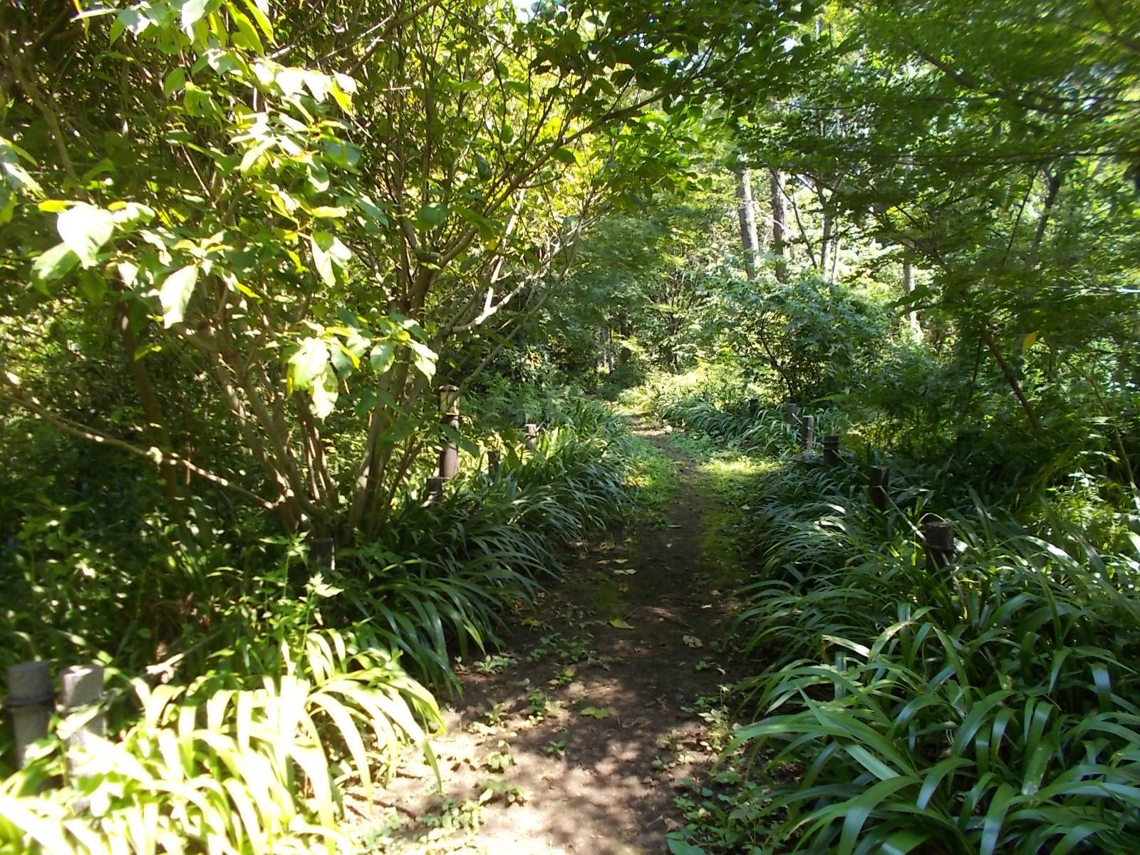 DSCN1083.jpg