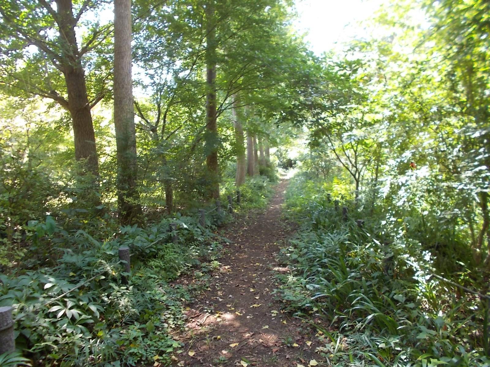 DSCN1086.jpg