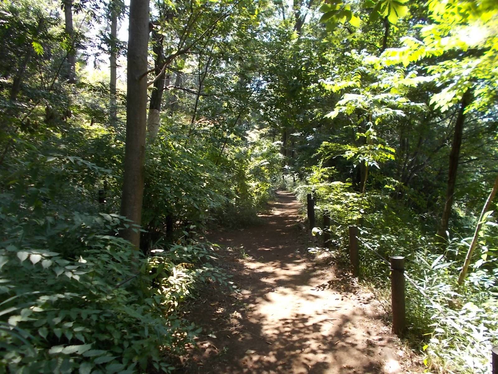 DSCN1090.jpg