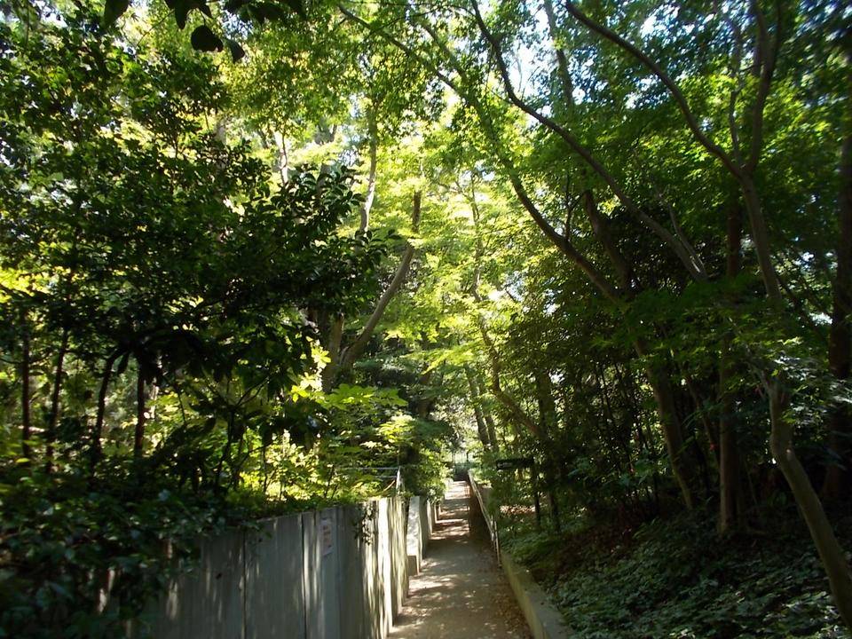 DSCN1091.jpg