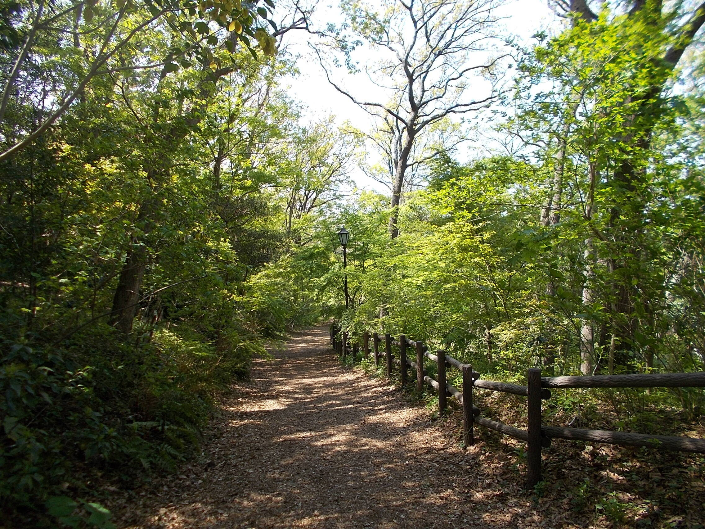 DSCN4912.jpg