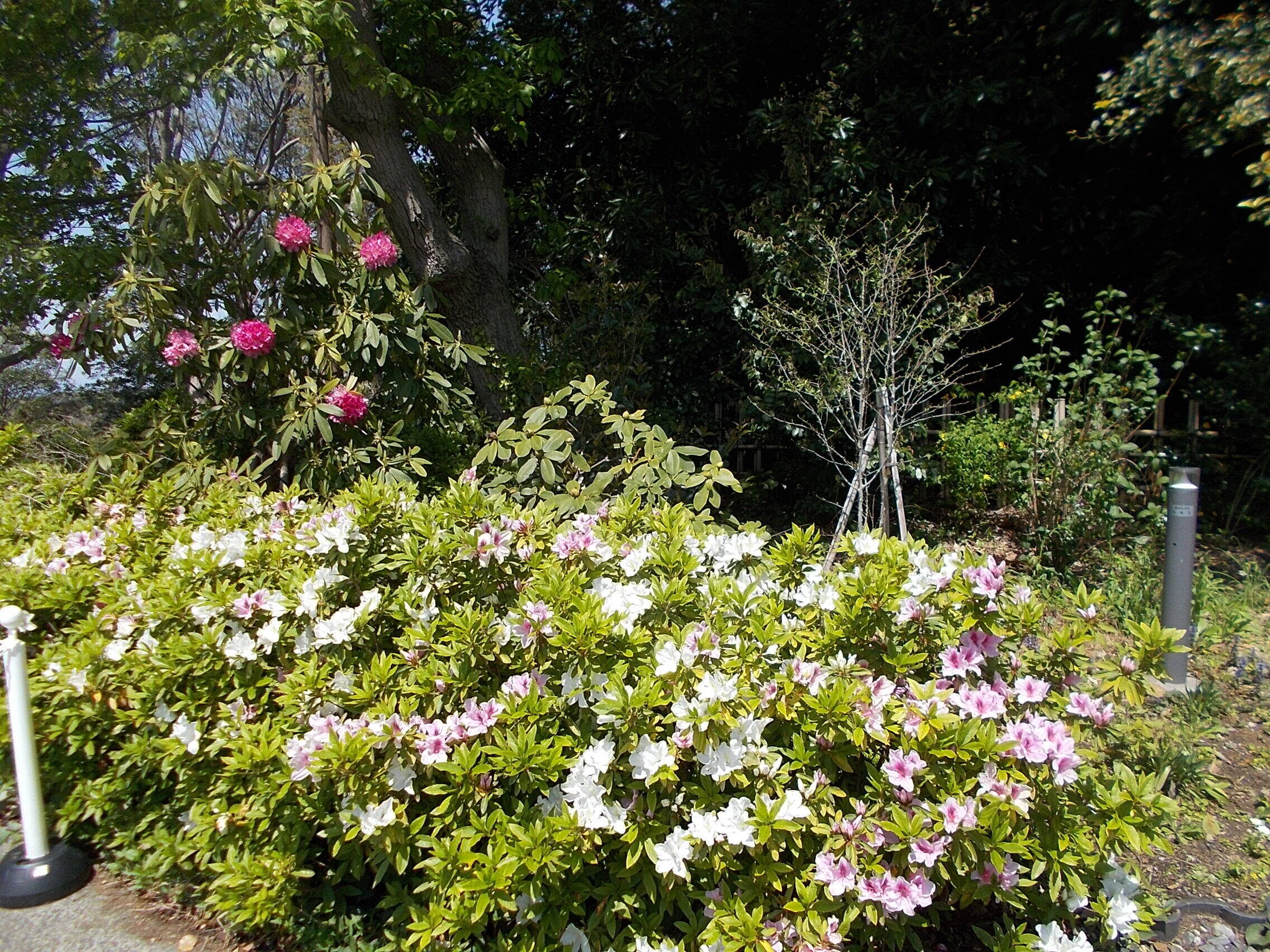 DSCN4921.jpg
