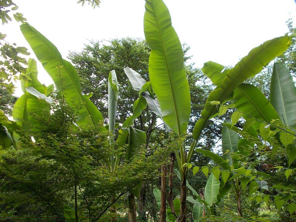 DSCN6057.jpg