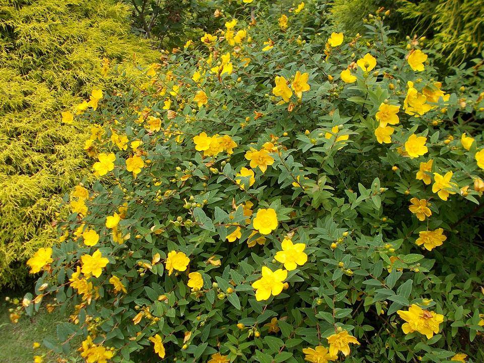 DSCN6072.jpg
