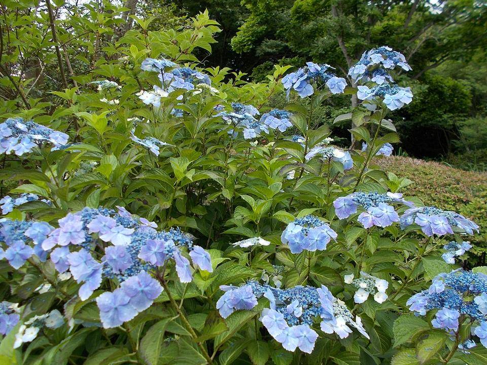 DSCN6077.jpg