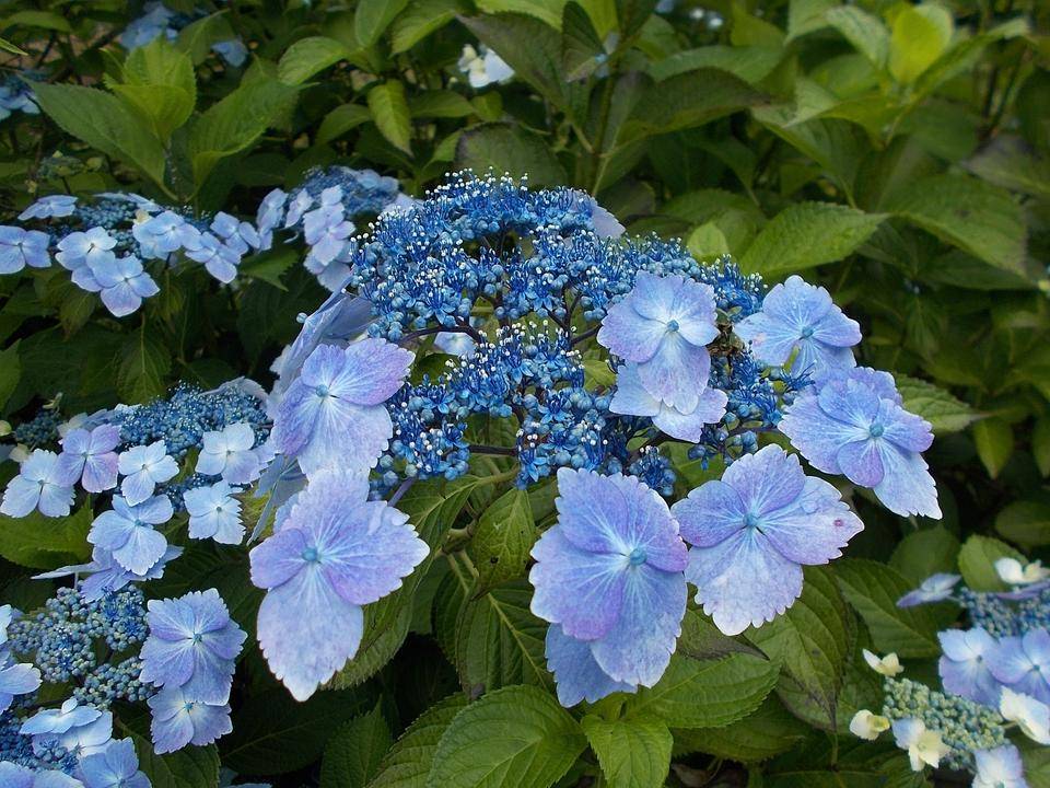 DSCN6078.jpg