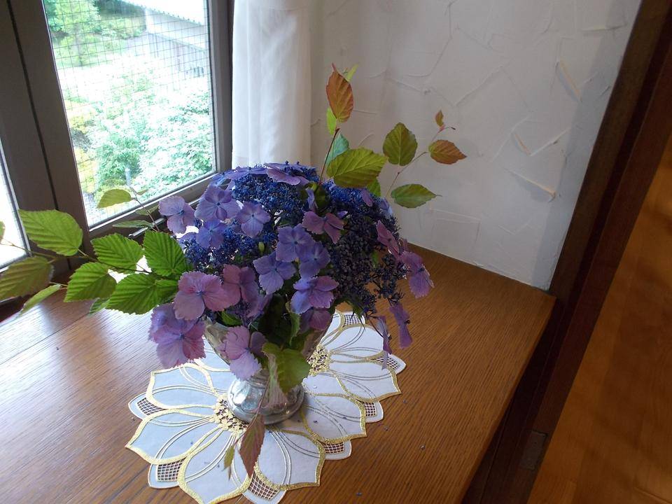 DSCN6089.jpg