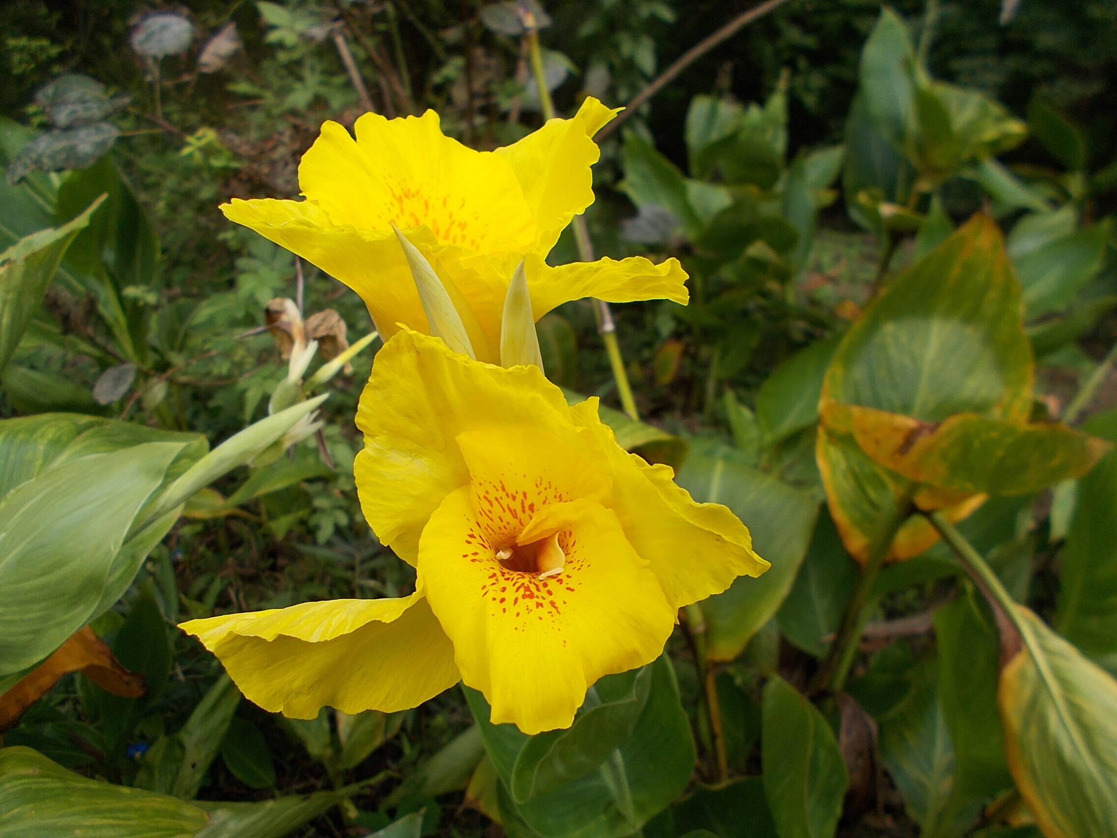 DSCN6640.jpg
