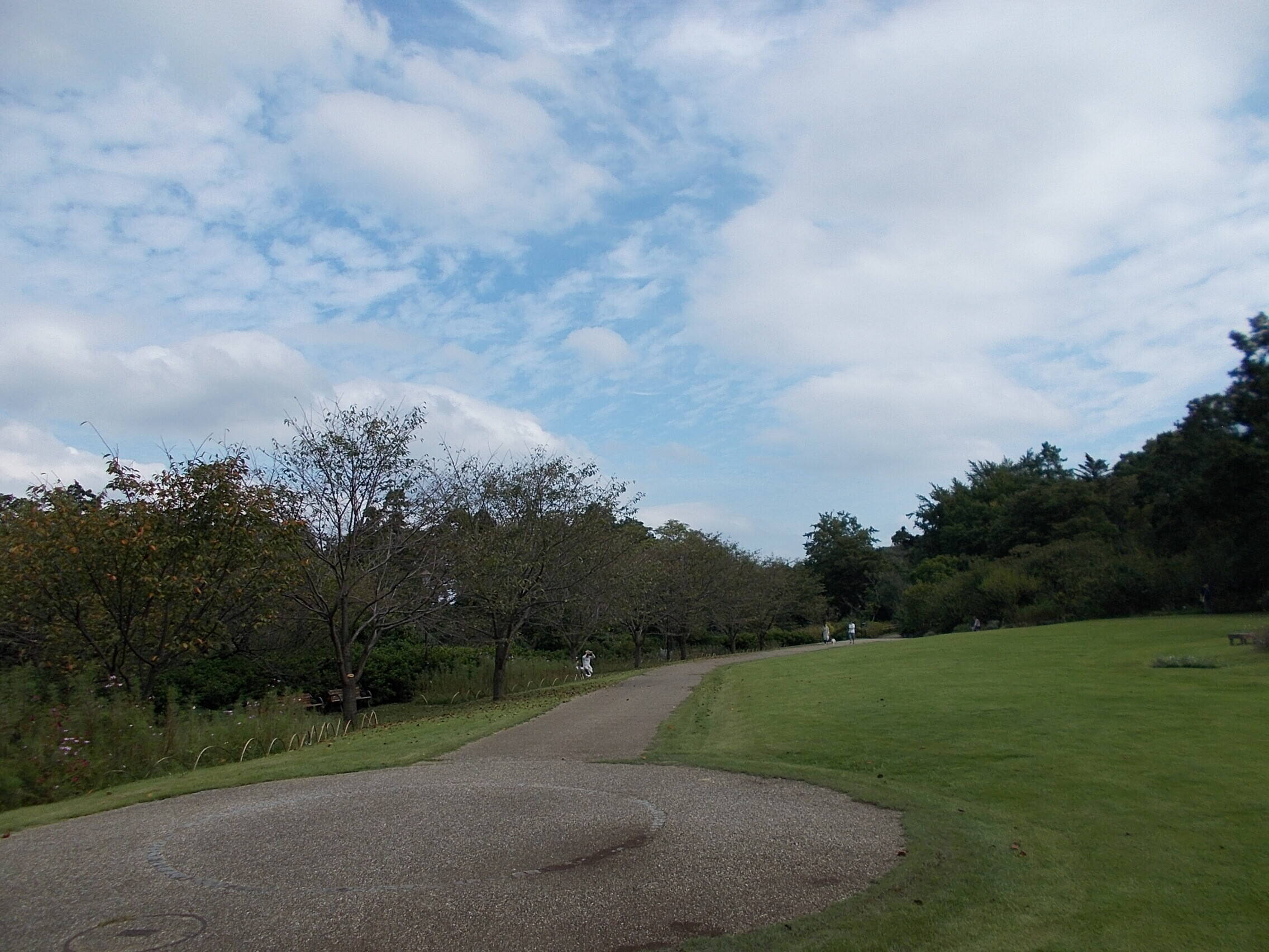 DSCN6647.jpg