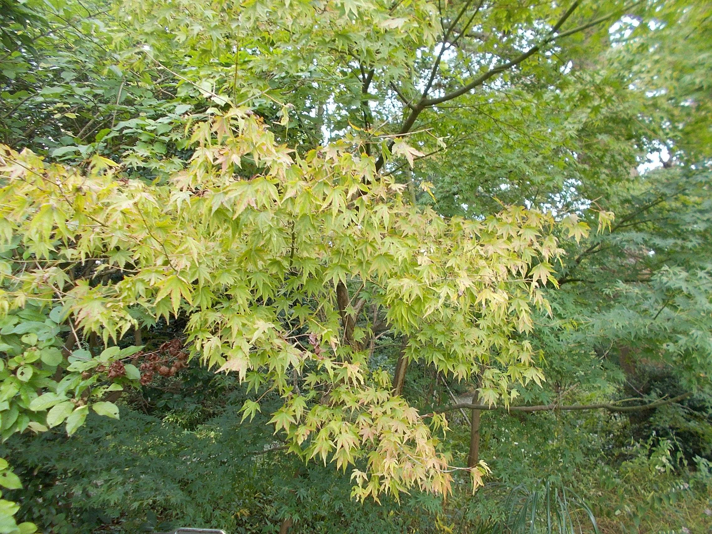 DSCN6929.jpg