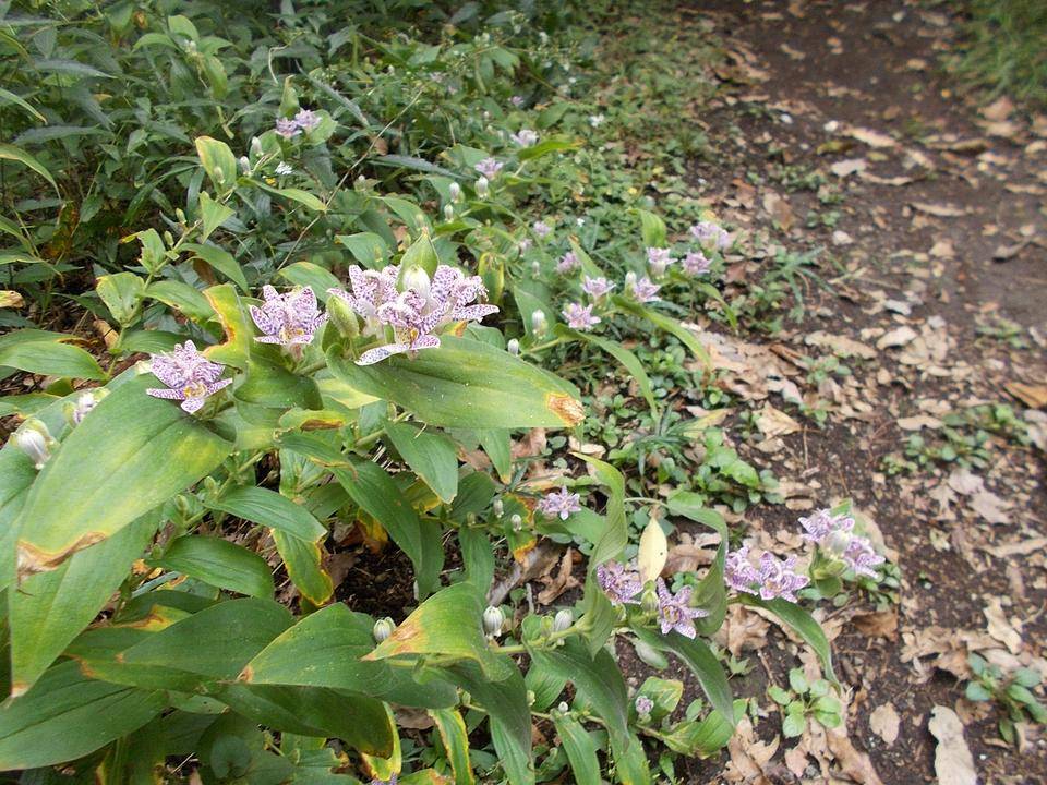 DSCN6939.jpg