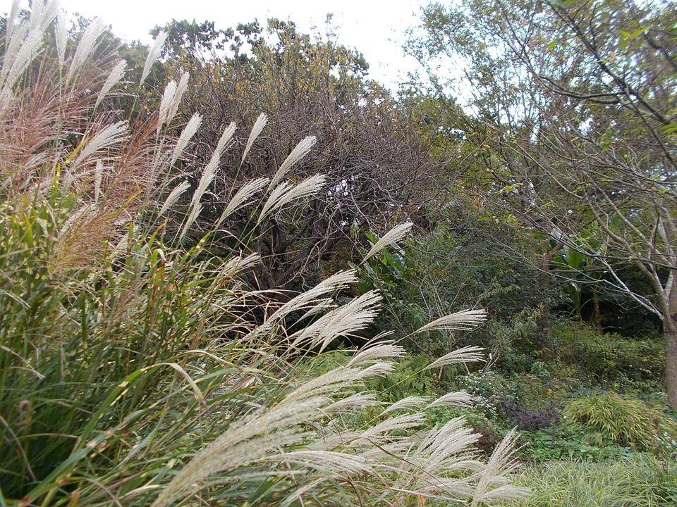 DSCN6946.jpg