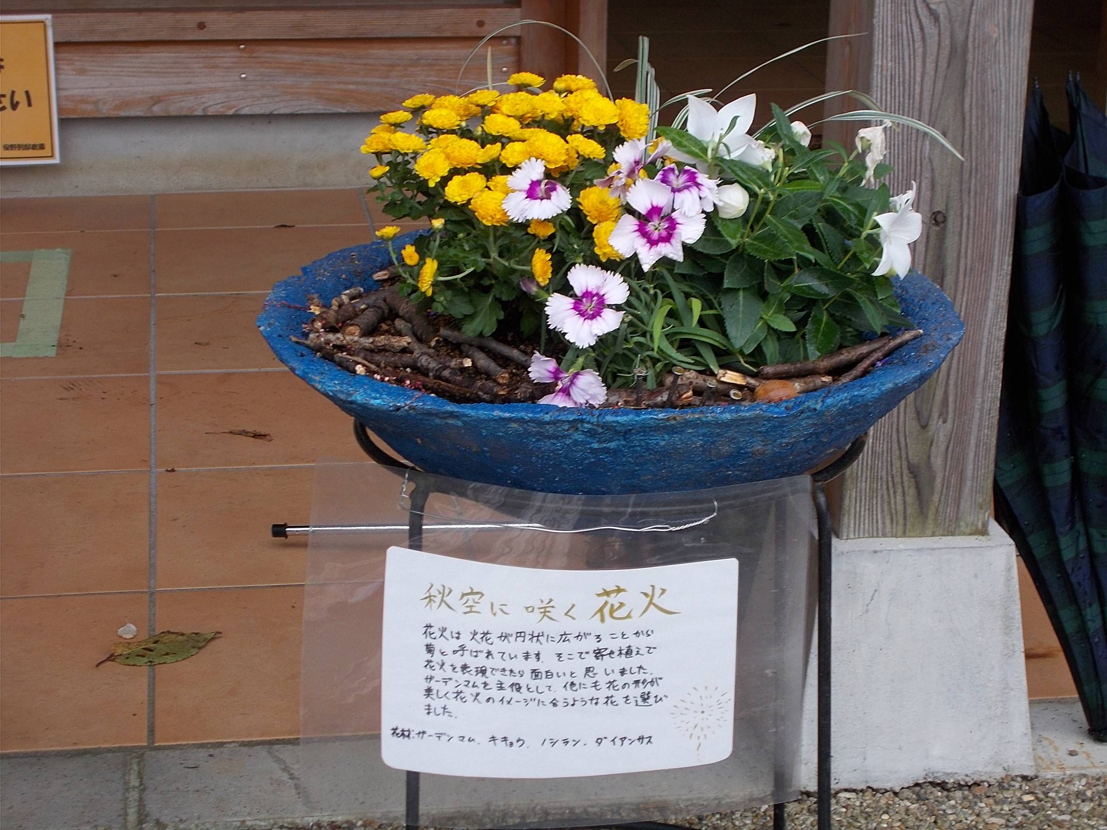 DSCN6952.jpg