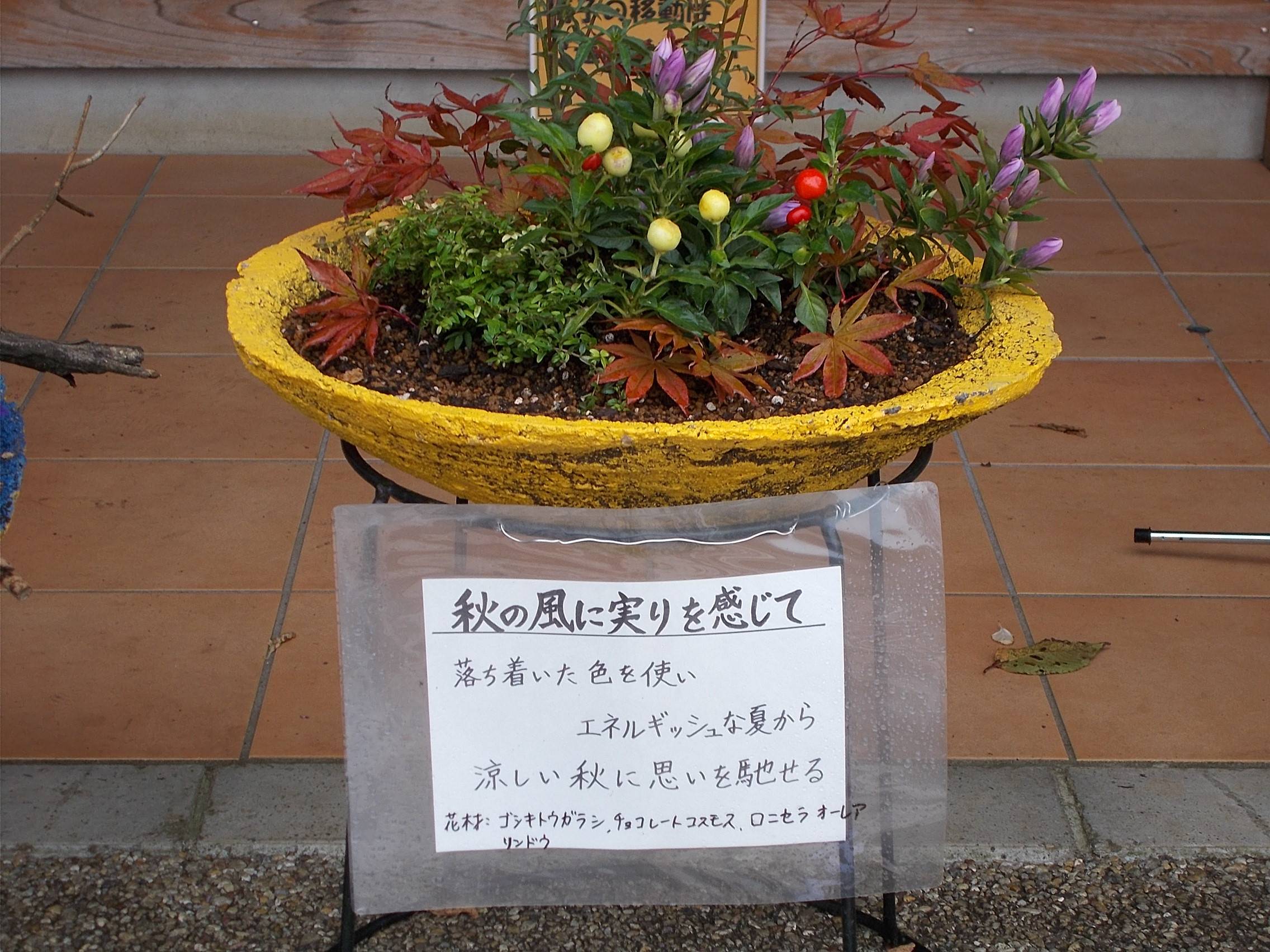 DSCN6953.jpg