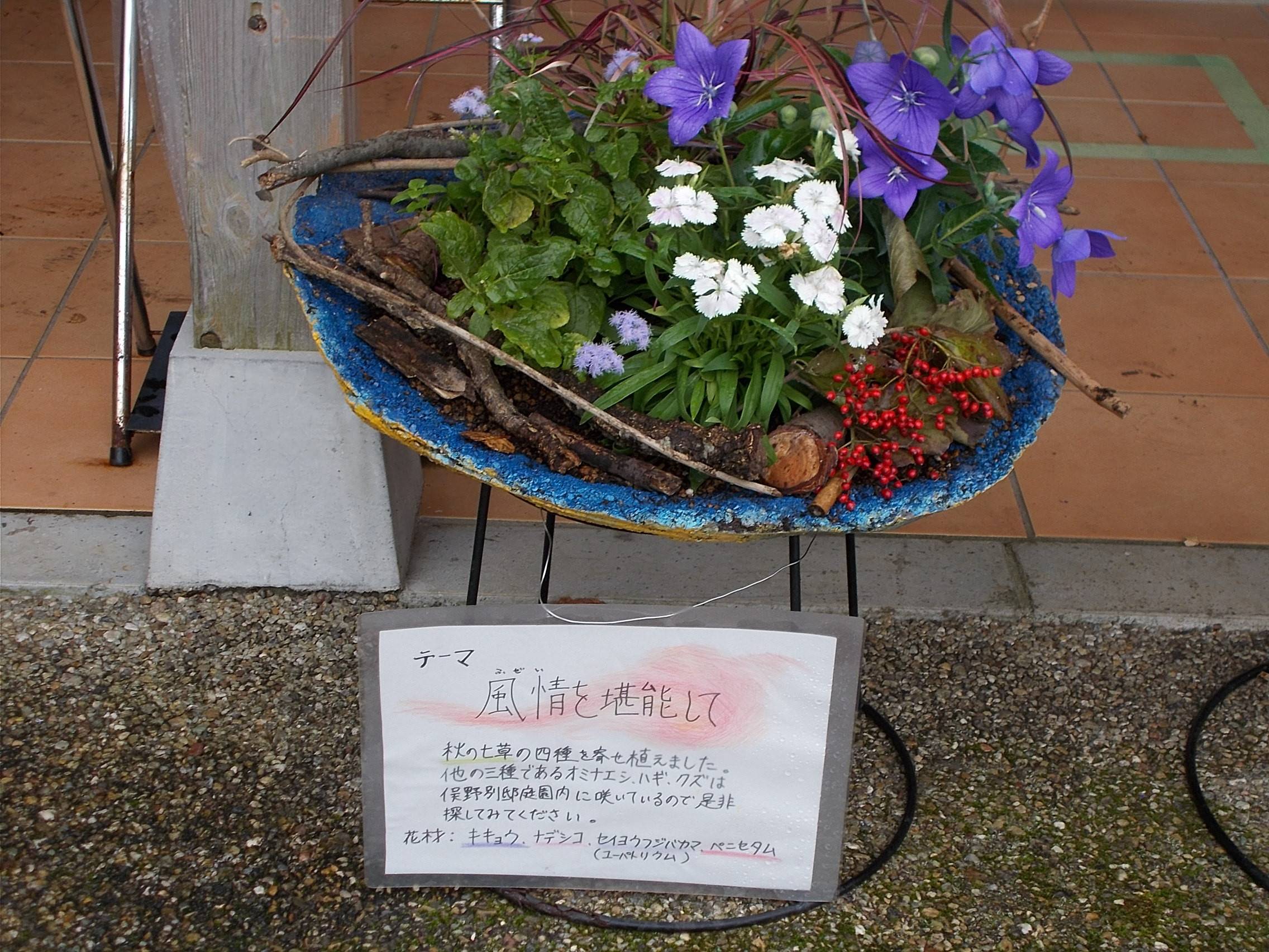 DSCN6954.jpg