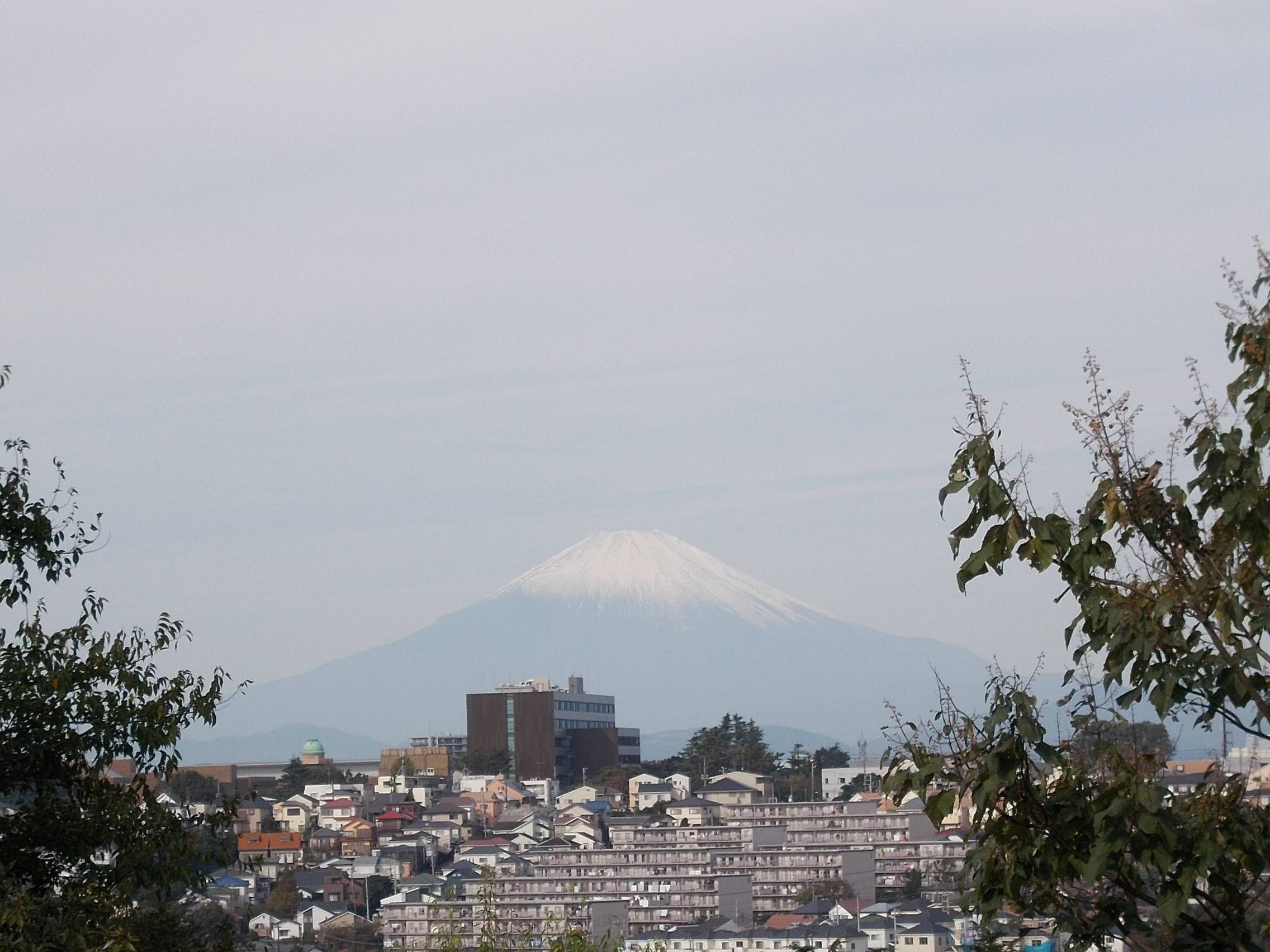 DSCN7027.jpg
