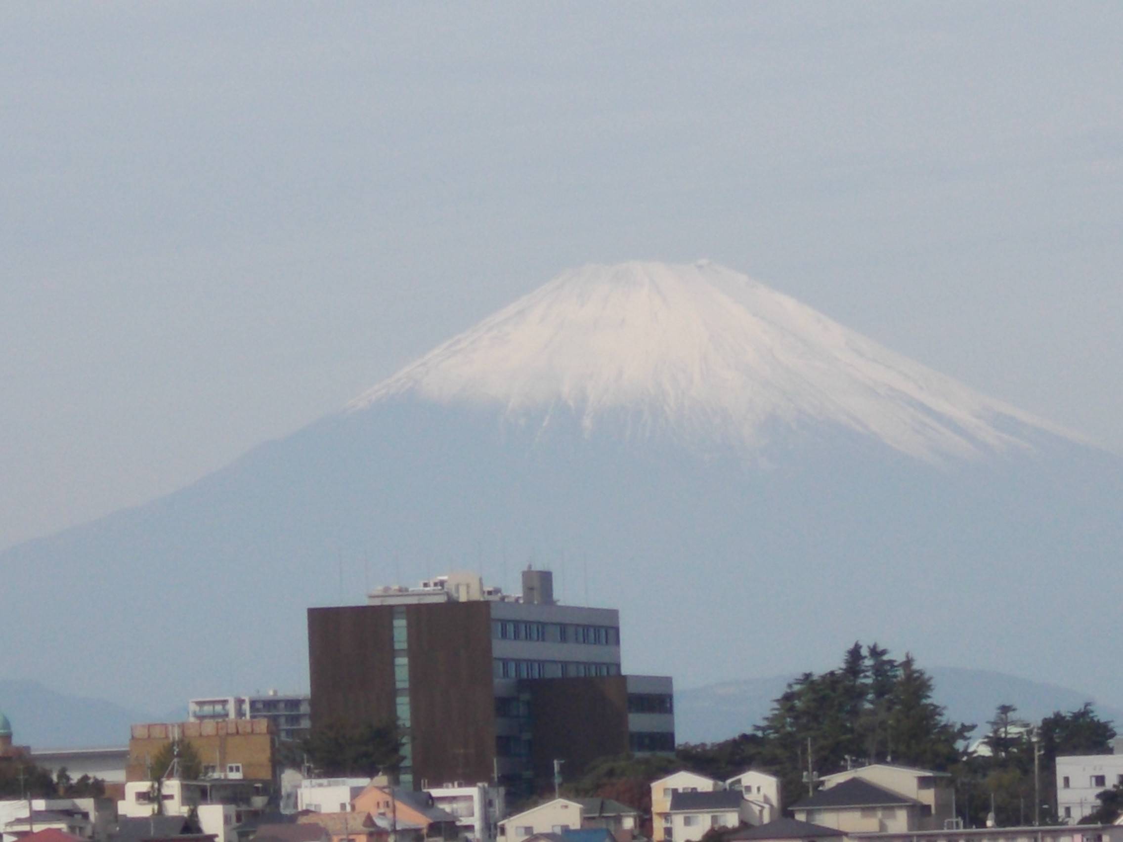 DSCN7032.jpg