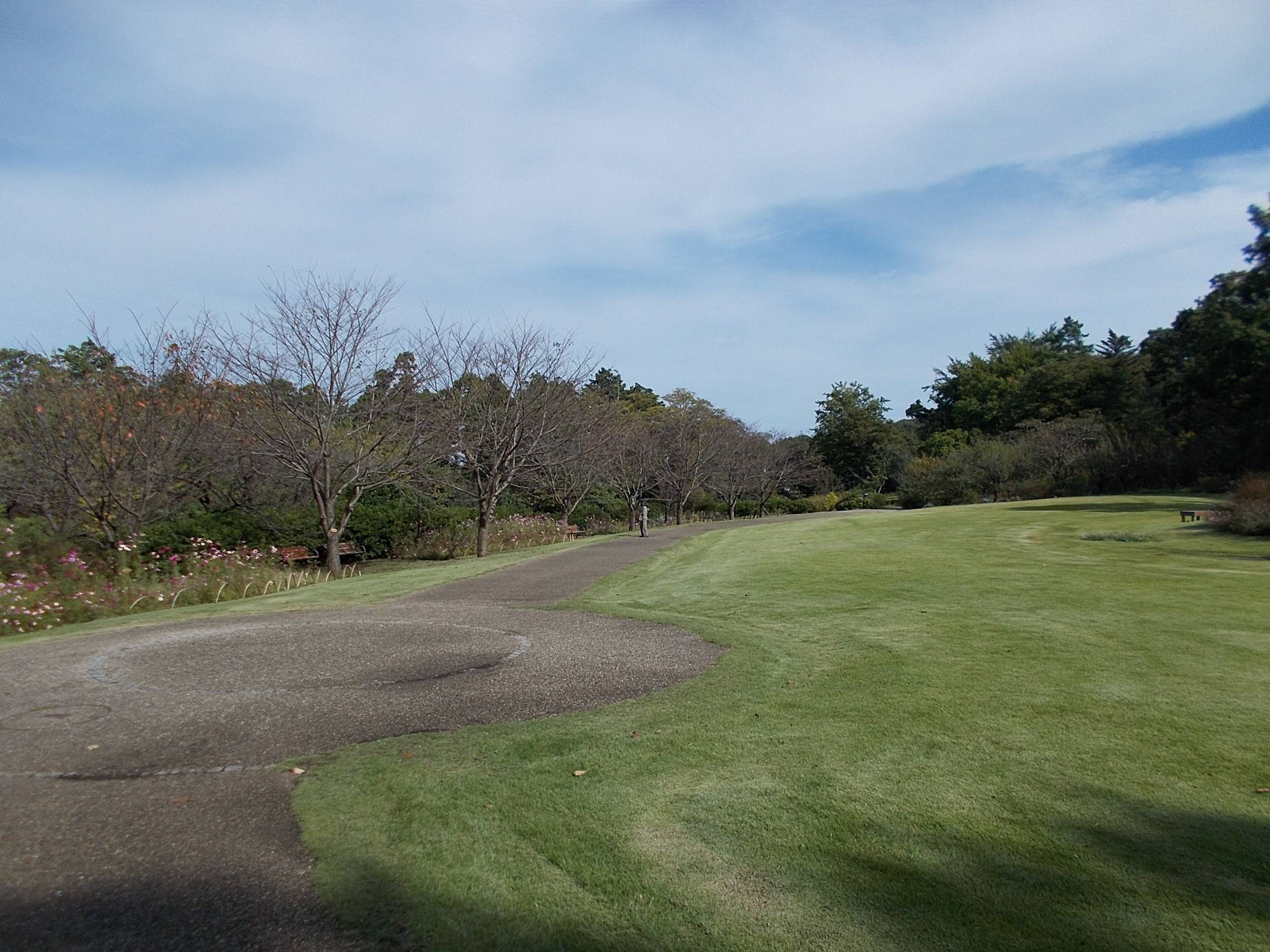 DSCN7043.jpg