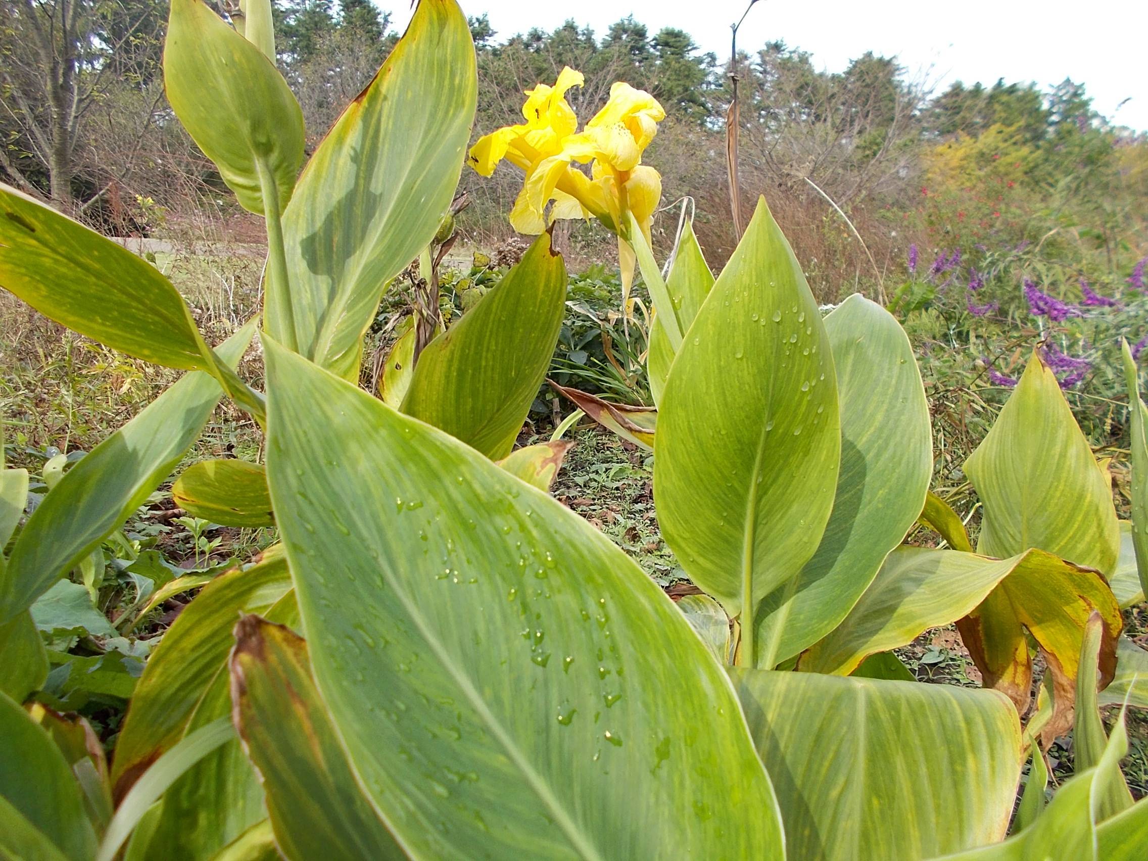 DSCN7054.jpg