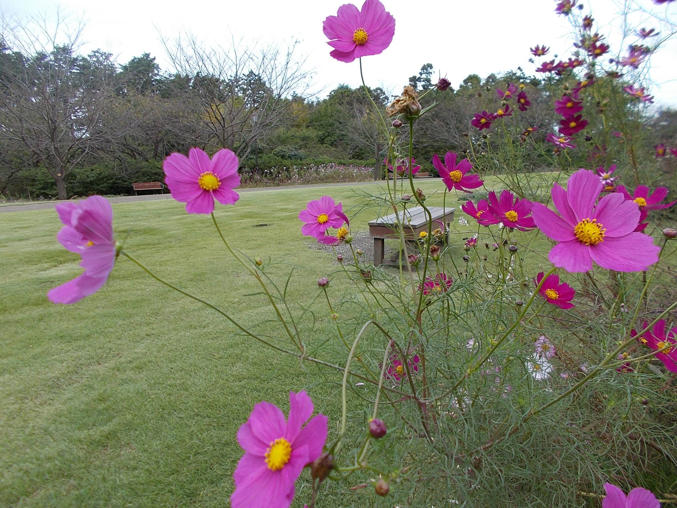 DSCN7057.jpg