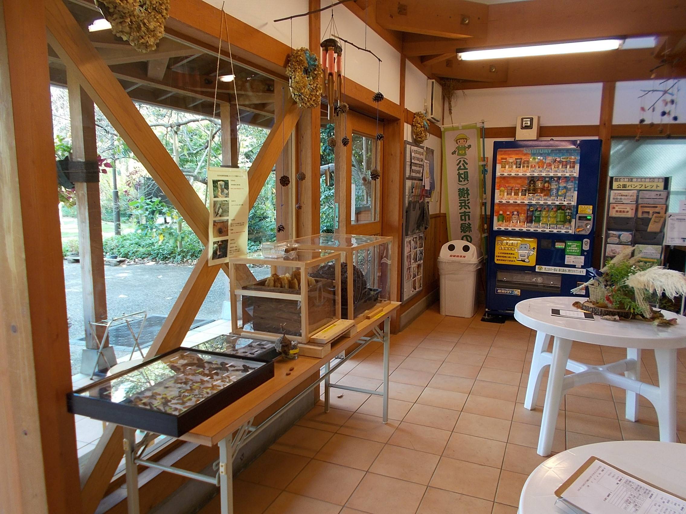 DSCN7074.jpg