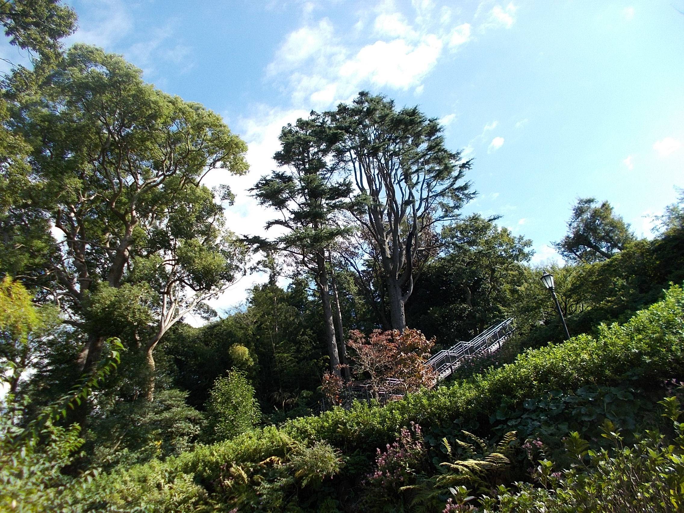 DSCN7095.jpg